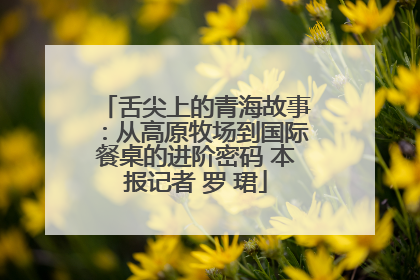 舌尖上的青海故事：从高原牧场到国际餐桌的进阶密码 本报记者 罗 珺