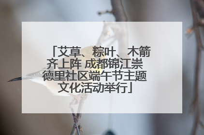 艾草、粽叶、木箭齐上阵 成都锦江崇德里社区端午节主题文化活动举行