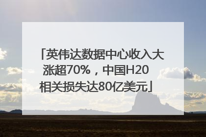 英伟达数据中心收入大涨超70%，中国H20相关损失达80亿美元