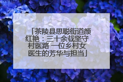茶陵县思聪街道颜红艳：三十余载坚守村医路 一位乡村女医生的芳华与担当