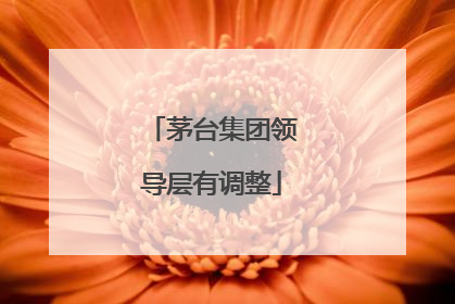 茅台集团领导层有调整