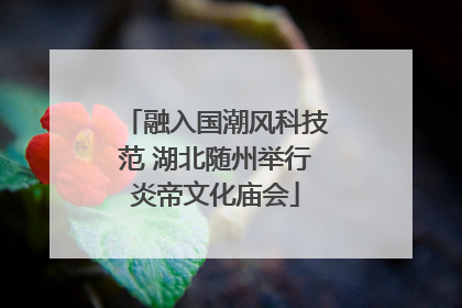 融入国潮风科技范 湖北随州举行炎帝文化庙会