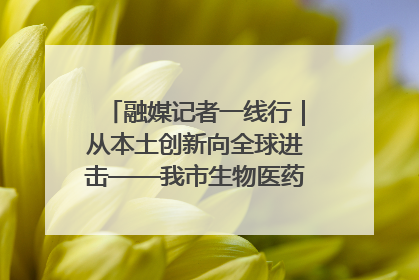 融媒记者一线行｜从本土创新向全球进击——我市生物医药产业破茧突围