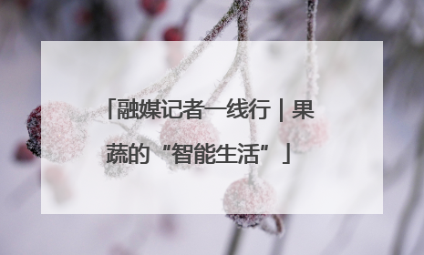 融媒记者一线行｜果蔬的“智能生活”