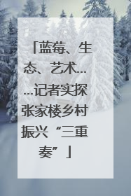 蓝莓、生态、艺术……记者实探张家楼乡村振兴“三重奏”