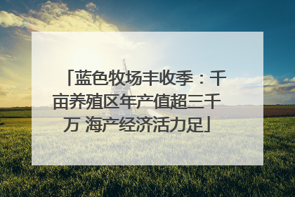 蓝色牧场丰收季：千亩养殖区年产值超三千万 海产经济活力足