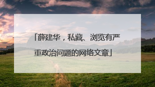 薛建华，私藏、浏览有严重政治问题的网络文章