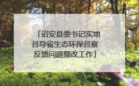 诏安县委书记实地督导省生态环保督察反馈问题整改工作