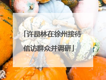 许昆林在徐州接待信访群众并调研