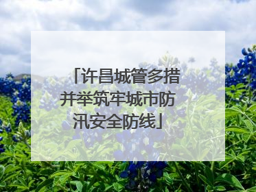 许昌城管多措并举筑牢城市防汛安全防线