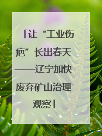 让“工业伤疤”长出春天——辽宁加快废弃矿山治理观察