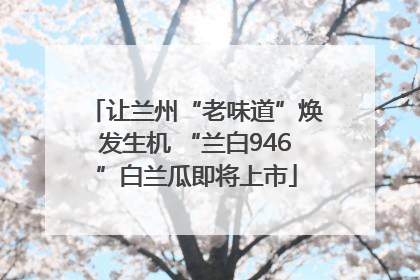 让兰州“老味道”焕发生机 “兰白946”白兰瓜即将上市