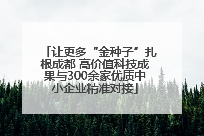 让更多“金种子”扎根成都 高价值科技成果与300余家优质中小企业精准对接