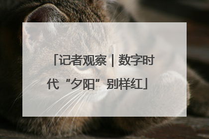 记者观察｜数字时代“夕阳”别样红