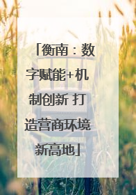 衡南：数字赋能+机制创新 打造营商环境新高地