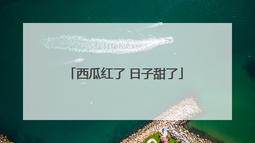 西瓜红了 日子甜了