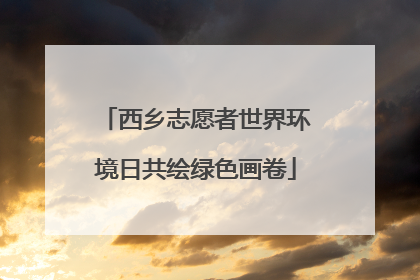 西乡志愿者世界环境日共绘绿色画卷