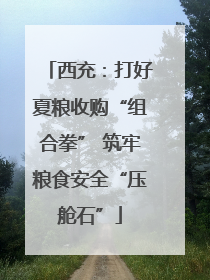 西充：打好夏粮收购“组合拳” 筑牢粮食安全“压舱石”