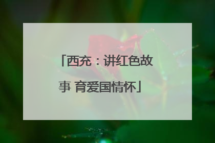 西充：讲红色故事 育爱国情怀