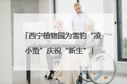 西宁植物园为雪豹“凌小蛰”庆祝“新生”