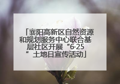 襄阳高新区自然资源和规划服务中心联合基层社区开展“6·25”土地日宣传活动