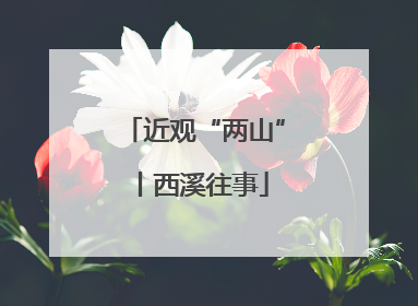 近观“两山”丨西溪往事