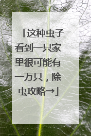 这种虫子看到一只家里很可能有一万只，除虫攻略→