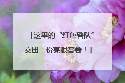 这里的“红色警队”交出一份亮眼答卷！