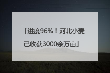 进度96%！河北小麦已收获3000余万亩