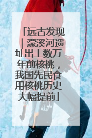远古发现｜濛溪河遗址出土数万年前核桃，我国先民食用核桃历史大幅提前