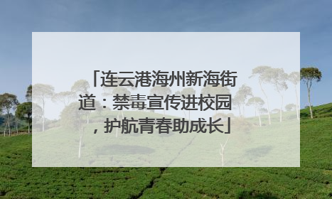 连云港海州新海街道：禁毒宣传进校园，护航青春助成长