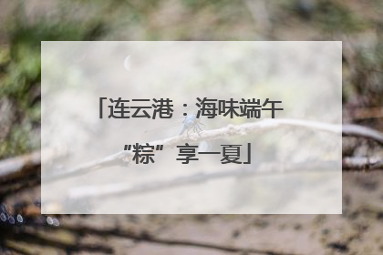 连云港：海味端午 “粽”享一夏