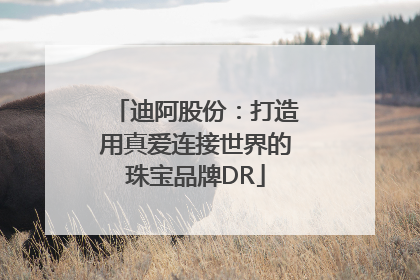 迪阿股份：打造用真爱连接世界的珠宝品牌DR