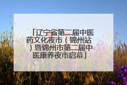 辽宁省第二届中医药文化夜市（锦州站）暨锦州市第二届中医康养夜市启幕