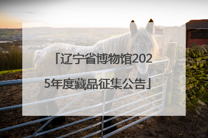 辽宁省博物馆2025年度藏品征集公告