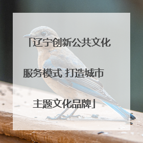 辽宁创新公共文化服务模式 打造城市主题文化品牌