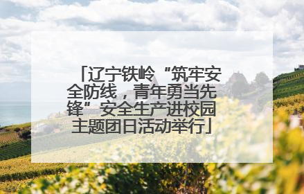 辽宁铁岭“筑牢安全防线，青年勇当先锋”安全生产进校园主题团日活动举行