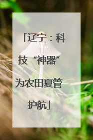 辽宁：科技“神器”为农田夏管护航