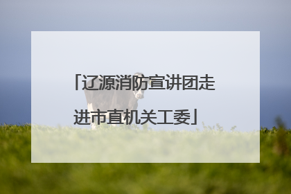 辽源消防宣讲团走进市直机关工委