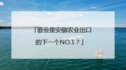 谁会是安徽农业出口的下一个NO.1？