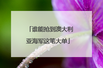 谁能抢到澳大利亚海军这笔大单