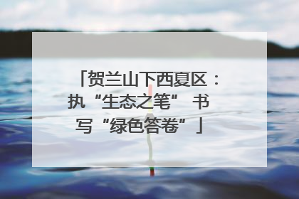 贺兰山下西夏区：执“生态之笔” 书写“绿色答卷”