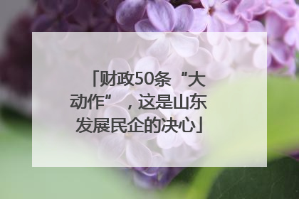 财政50条“大动作”，这是山东发展民企的决心