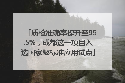 质检准确率提升至99.5%，成都这一项目入选国家级标准应用试点