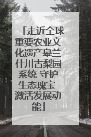 走近全球重要农业文化遗产皋兰什川古梨园系统 守护生态瑰宝 激活发展动能