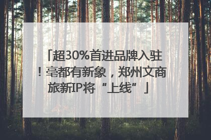 超30%首进品牌入驻！亳都有新象，郑州文商旅新IP将“上线”