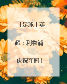 足球丨英超：利物浦庆祝夺冠