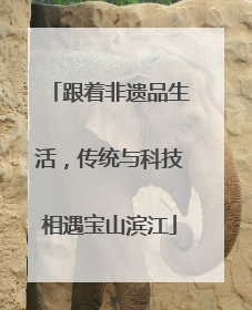 跟着非遗品生活，传统与科技相遇宝山滨江