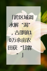 跨区域调水解“渴”，古邵镇10万余亩农田获“甘霖”
