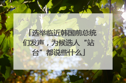 选举临近韩国前总统们发声，为候选人“站台”都说些什么